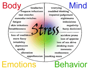 Stress diagram