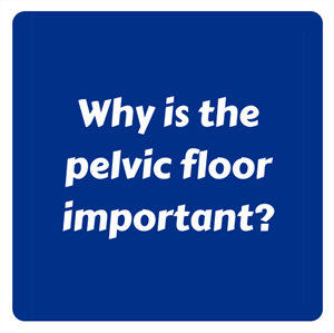 Why is pelvic floor important?